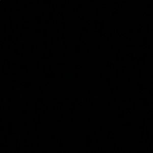 Meet your Posher, Lanaiya